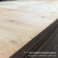 Chinese formwork custom Pine level seamless woods plywood for construction